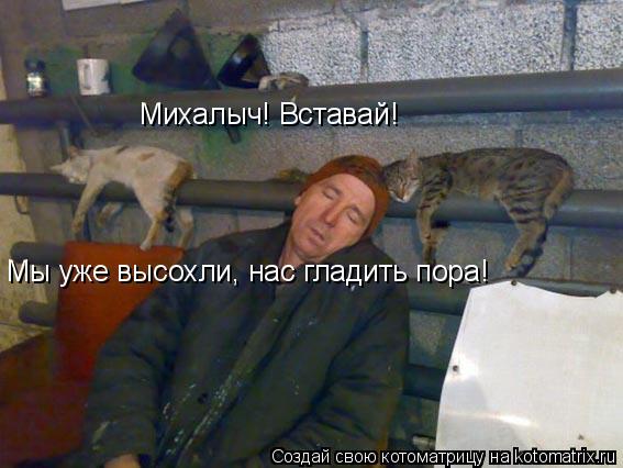 Михалыч! Вставай! Мы уже высохли, нас гладить пора!... Котоматрица: Михалыч! Вставай! Мы уже высохли, нас гладить пора!