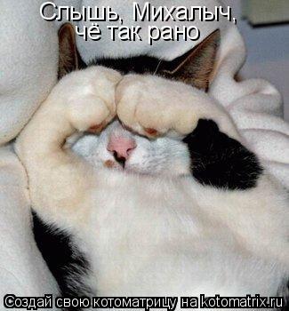 Котоматрица: Слышь, Михалыч,  чё так рано