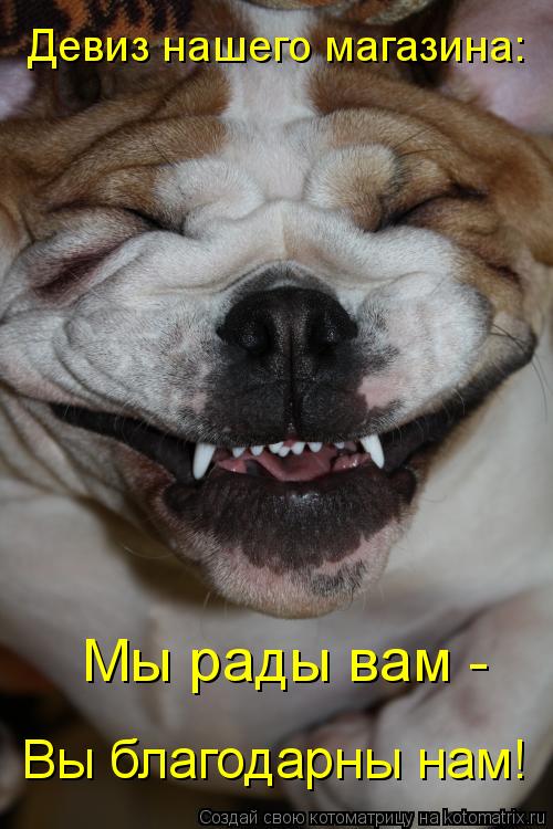 Котоматрица: Девиз нашего магазина: Мы рады вам - Вы благодарны нам!