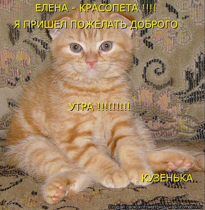 ЕЛЕНА - КРАСОПЕТА !!!! Я ПРИШЕЛ ПОЖЕЛАТЬ ДОБРОГО УТРА !!!!!!!!! КУЗЕНЬКА... Котоматрица: ЕЛЕНА - КРАСОПЕТА !!!! Я ПРИШЕЛ ПОЖЕЛАТЬ ДОБРОГО УТРА !!!!!!!!! КУЗЕНЬКА