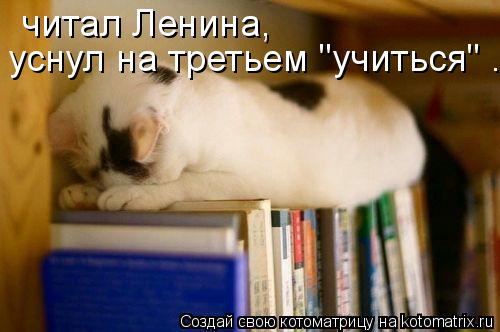 Котоматрица: читал Ленина, уснул на третьем "учиться" ...