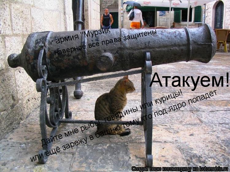 Котоматрица: Атакуем! Дайте мне рыбы, говядины или курицы! или ещё зарежу в башню тому кто под ядро попадёт армия "Мурзик" наверное все права защитены