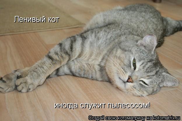 Котоматрица: Ленивый кот иногда служит пылесосом!