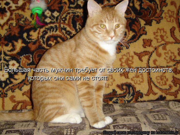 Котоматрица: Большая часть мужчин требует от своих жен достоинств,  которых они сами не стоят.
