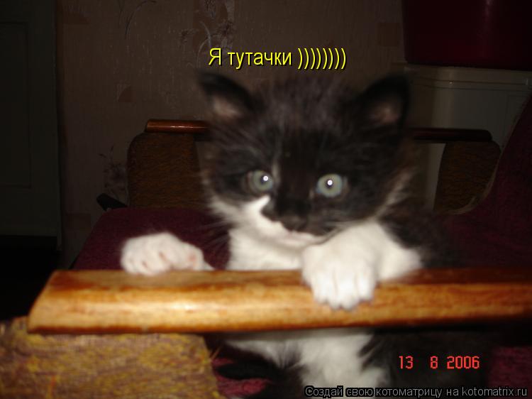 Котоматрица: Я тутачки ))))))))