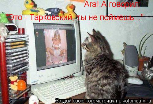 Котоматрица: Ага! А говорил: "Это - Тарковский, ты не поймёшь..."