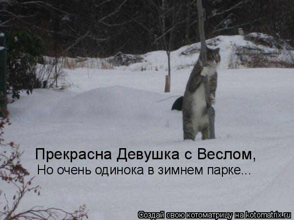 Прекрасна Девушка с Веслом, Но очень одинока в зимнем парке...... Котоматрица: Прекрасна Девушка с Веслом, Но очень одинока в зимнем парке...