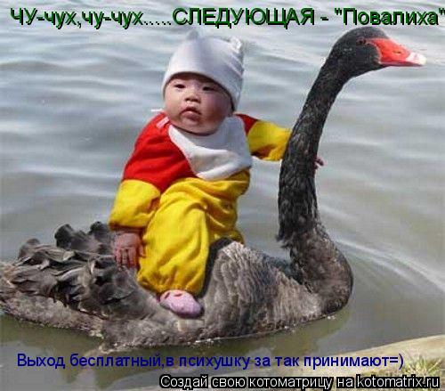 Котоматрица: ЧУ-чух,чу-чух.....СЛЕДУЮЩАЯ - "Повалиха" Выход бесплатный, Выход бесплатный,в психушку за так принимают=)