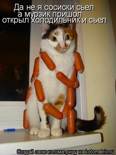 Котоматрица: Да не я сосиски сьел а мурзик пришол открыл холодильник и сьел