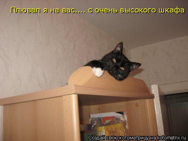 Плювал я на вас.... с очень высокого шкафа... Котоматрица: Плювал я на вас.... с очень высокого шкафа