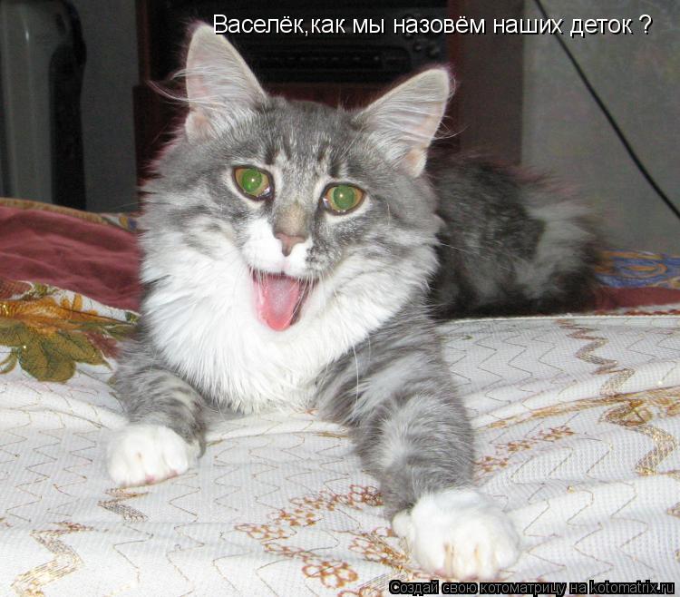Котоматрица: Васелёк,как мы назовём наших деток ?