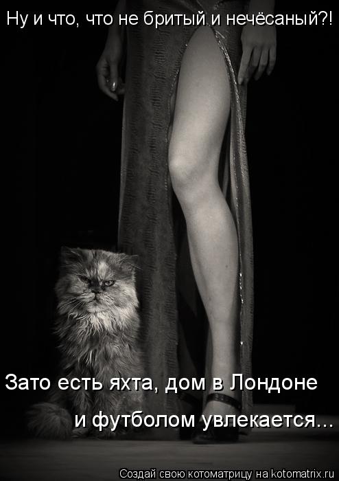 Котоматрица: Ну и что, что не бритый и нечёсаный?!
 Зато есть яхта, дом в Лондоне и футболом увлекается...