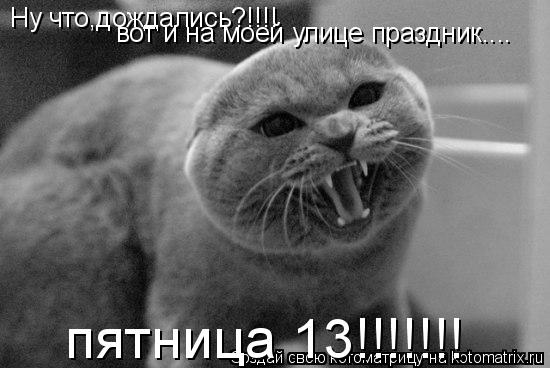 Котоматрица: Ну что,дождались?!!!! вот и на моей улице праздник.... пятница 13!!!!!!!