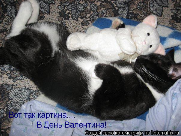 Вот так картина.... В День Валентина!... Котоматрица: Вот так картина.... В День Валентина!