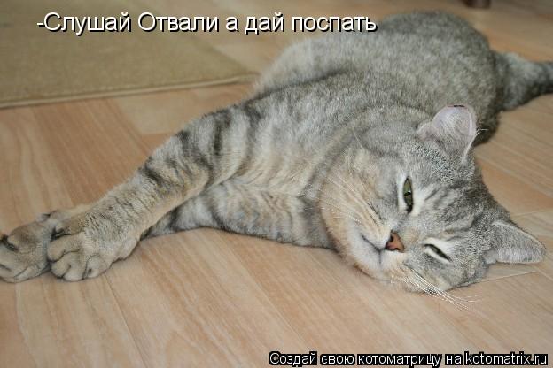 Котоматрица: -Слушай Отвали а дай поспать