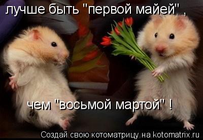Котоматрица: лучше быть "первой майей" , чем "восьмой мартой" !