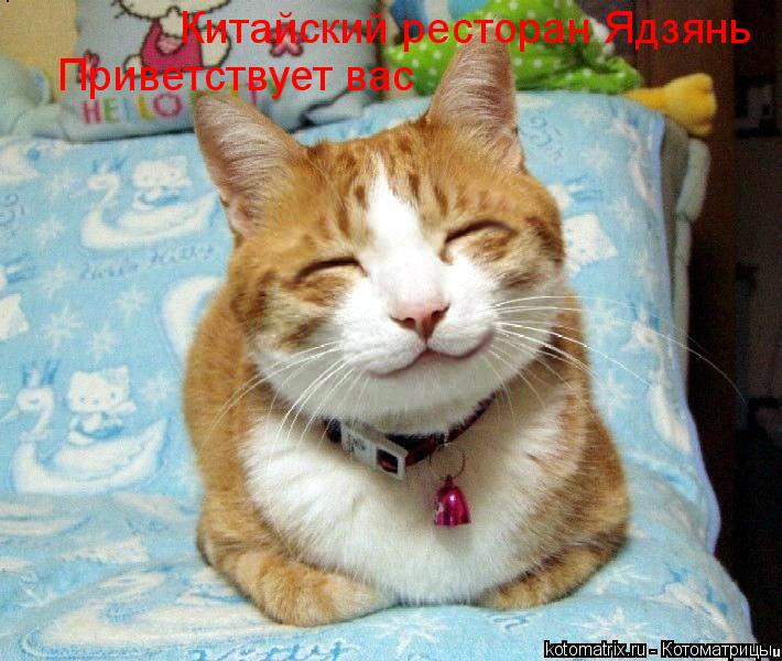 Котоматрица: Китайский ресторан Ядзянь Приветствует вас