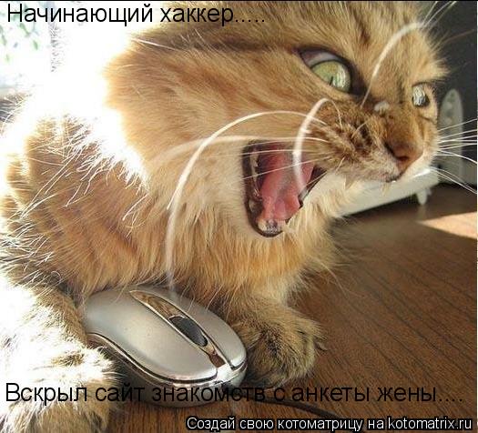Котоматрица: Вскрыл сайт знакомств с анкеты жены.... Начинающий хаккер.....