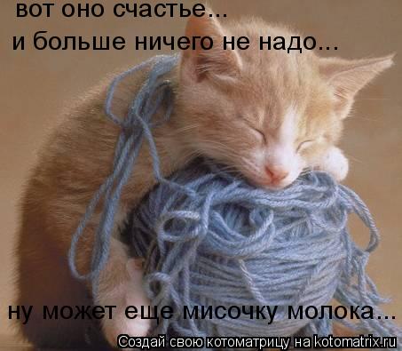 Котоматрица: вот оно счастье... и больше ничего не надо... ну может еще мисочку молока...