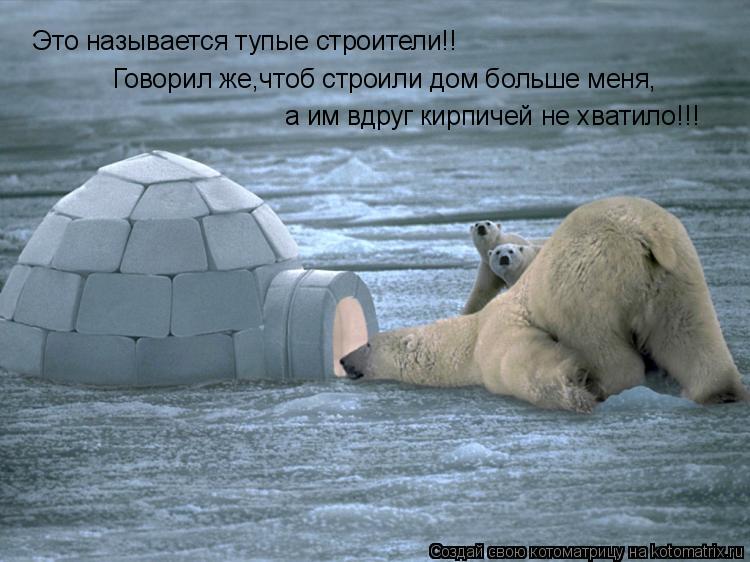 Это называется тупые строители!! Говорил же,чтоб строили дом больше меня, а им вдруг кирпичей не хват... Котоматрица: Это называется тупые строители!! Говорил же,чтоб строили дом больше меня, а им вдруг кирпичей не хватило!!!