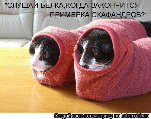 -"СЛУШАЙ БЕЛКА,КОГДА ЗАКОНЧИТСЯ ПРИМЕРКА СКАФАНДРОВ?"... Котоматрица: -"СЛУШАЙ БЕЛКА,КОГДА ЗАКОНЧИТСЯ ПРИМЕРКА СКАФАНДРОВ?"