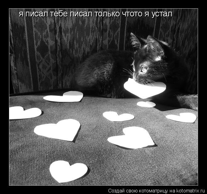 я писал тебе писал только чтото я устал я писал тебе писал только чтото я устал... Котоматрица: я писал тебе писал только чтото я устал я писал тебе писал только чтото я устал
