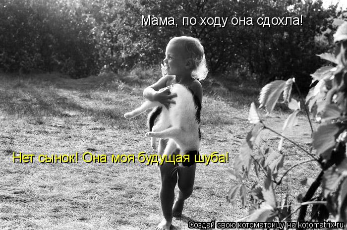 Котоматрица: Мама, по ходу она сдохла! Нет сынок! Она моя будущая шуба!