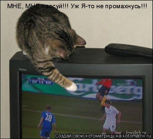 МНЕ, МНЕ пассуй!!! Уж Я-то не промахнусь!!!... Котоматрица: МНЕ, МНЕ пассуй!!! Уж Я-то не промахнусь!!!