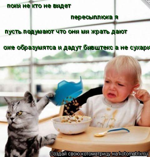 Котоматрица: поки не кто не видет пересыплюка я  пусть подумают что они ми жрать дают оже образумятса и дадут бивштекс а не сухари