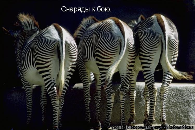 Снаряды к бою.... Котоматрица: Снаряды к бою.