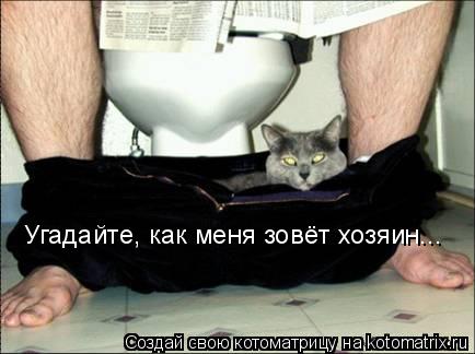 Котоматрица: Угадайте, как меня зовёт хозяин...