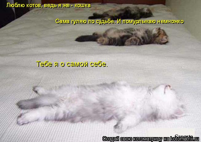 Котоматрица: Люблю котов, ведь я же - кошка Сама гуляю по судьбе. И помурлыкаю немножко Тебе я о самой себе.