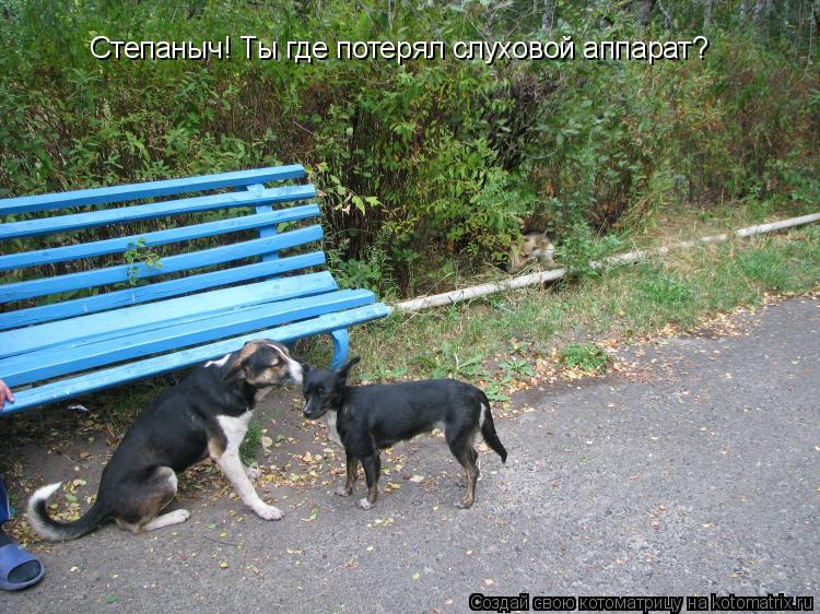 Степаныч! Ты где потерял слуховой аппарат?... Котоматрица: Степаныч! Ты где потерял слуховой аппарат?