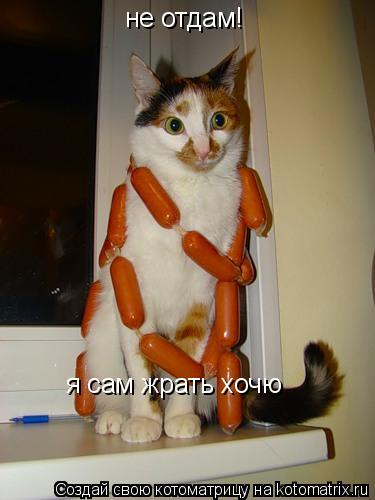 не отдам! я сам жрать хочю... Котоматрица: не отдам! я сам жрать хочю