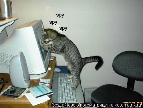 Котоматрица: spy spy spy