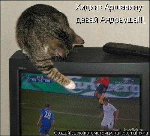 Хидинк Аршавину: давай Андрьуша!!!... Котоматрица: Хидинк Аршавину: давай Андрьуша!!!