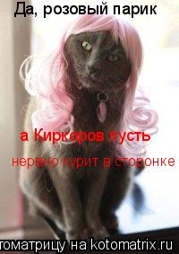 Котоматрица: Да, розовый парик а Киркоров пусть  нервно курит в сторонке