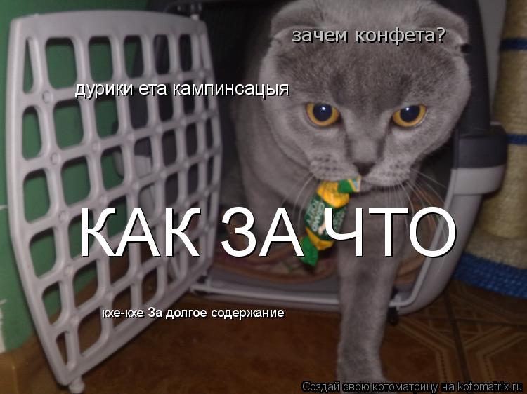 Котоматрица: зачем конфета?  дурики ета кампинсацыя  дурики ета кампинсацыя   КАК ЗА ЧТО  кхе-кхе За долгое содержание