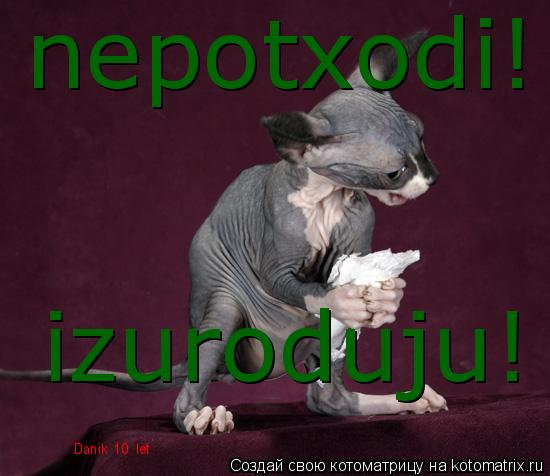 Котоматрица: nepotxodi! izuroduju! Danik  10  let