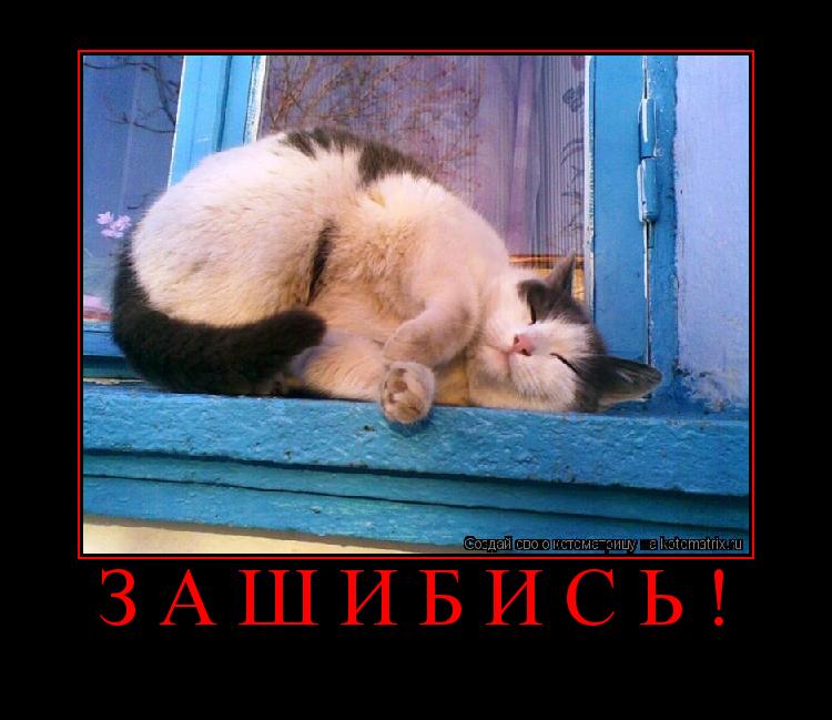 Котоматрица: З А Ш И Б И С Ь ! 