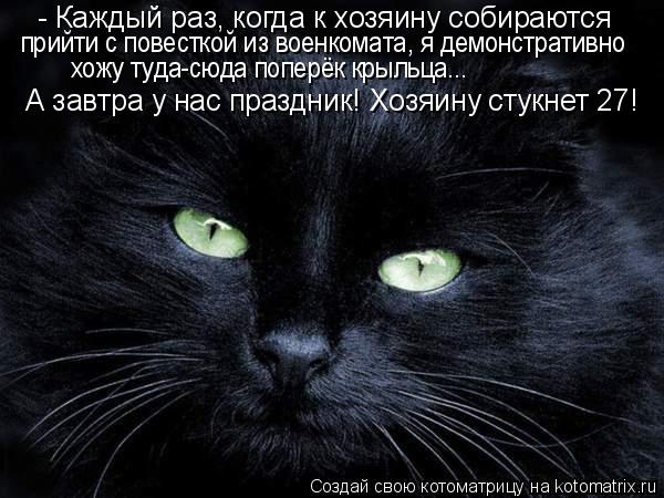 Котоматрица: - Каждый раз, когда к хозяину собираются прийти с повесткой из военкомата, я демонстративно хожу туда-сюда поперёк крыльца... А завтра у нас п