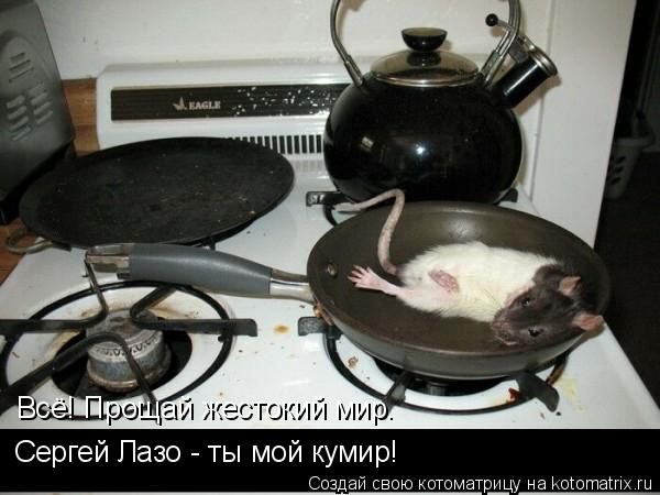 Котоматрица: Всё! Прощай жестокий мир. Сергей Лазо - ты мой кумир!