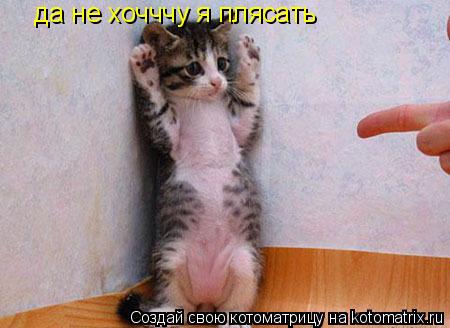 Котоматрица: да не хочччу я плясать
