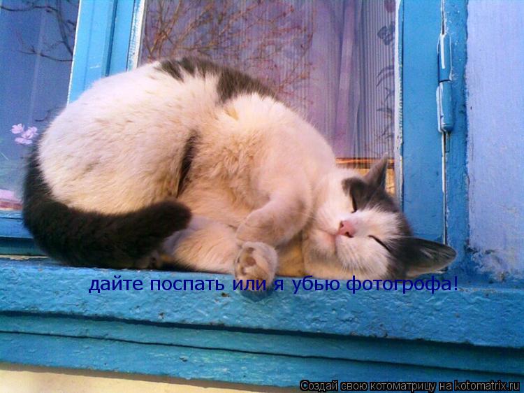 Котоматрица: дайте поспать или я убью фотогрофа!