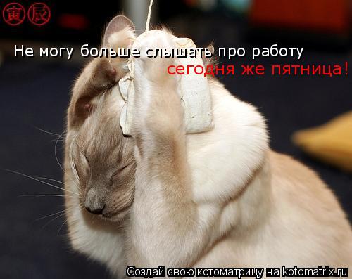 Котоматрица: Не могу больше слышать про работу сегодня же пятница!