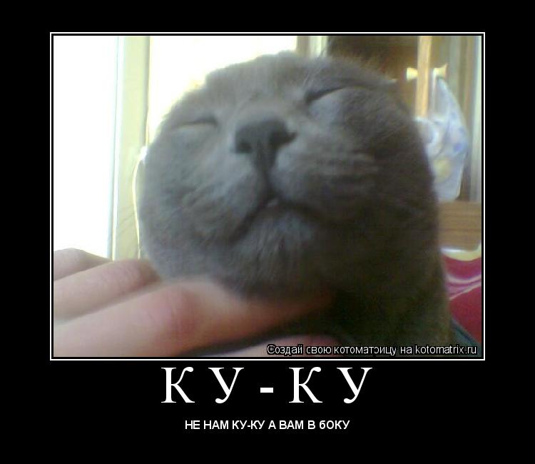 К У - К У ... Котоматрица: К У - К У