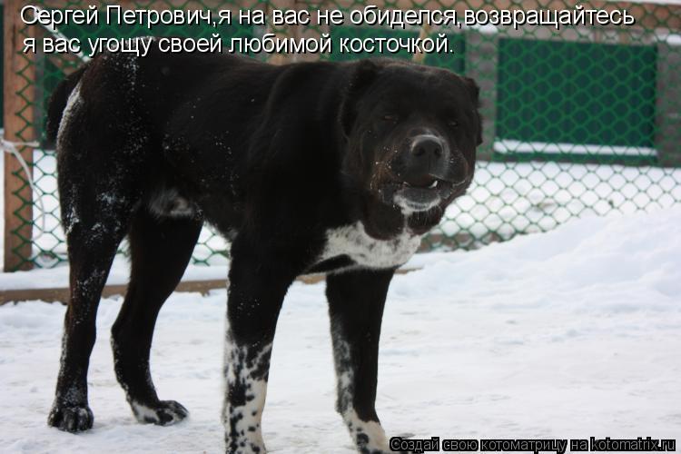 Котоматрица: Сергей Петрович,я на вас не обиделся,возвращайтесь я вас угощу своей любимой косточкой.