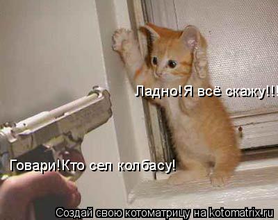 Говари!Кто сел колбасу! Ладно!Я всё скажу!!!... Котоматрица: Говари!Кто сел колбасу! Ладно!Я всё скажу!!!