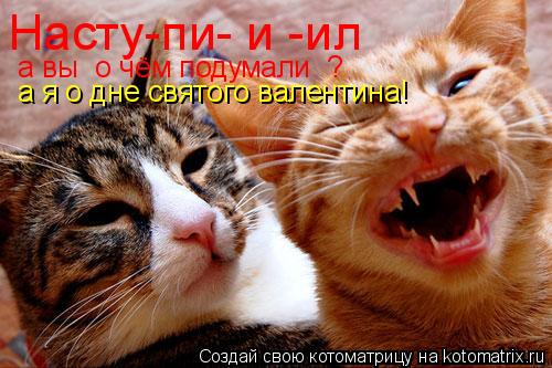 Насту-пи- и -ил a вы о чём подумали ? а я о дне святого валентина!... Котоматрица: Насту-пи- и -ил a вы о чём подумали ? а я о дне святого валентина!