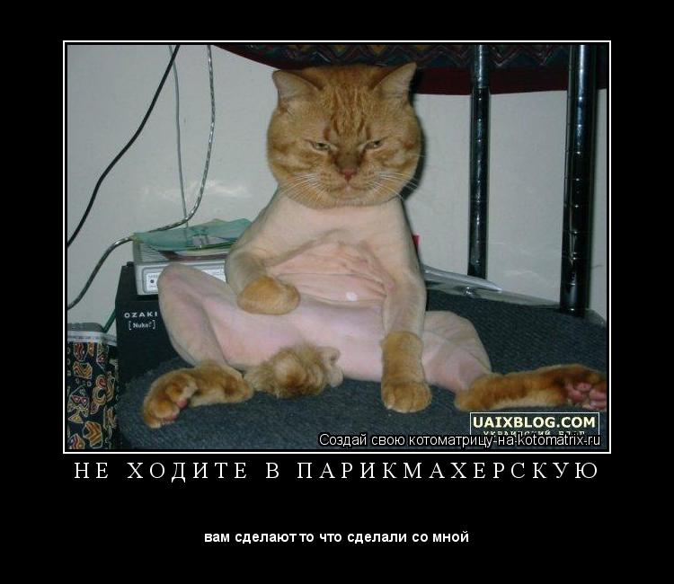 Котоматрица: Н Е   Х О Д И Т Е   В   П А Р И К М А Х Е Р С К У Ю 